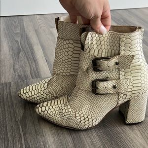 Freebird by Steven Joey